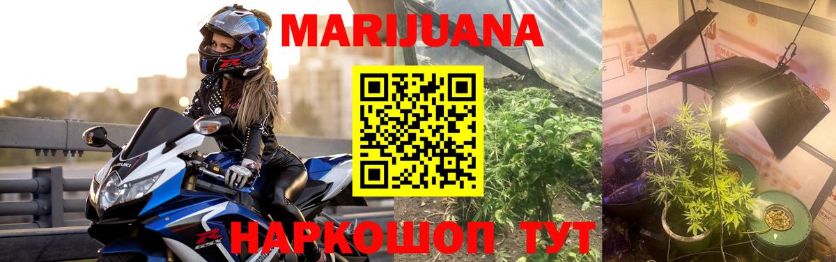 Сегежа  Конопля THC 21%  Вход с VPN  Марихуана марихуана  Каннабис индика 