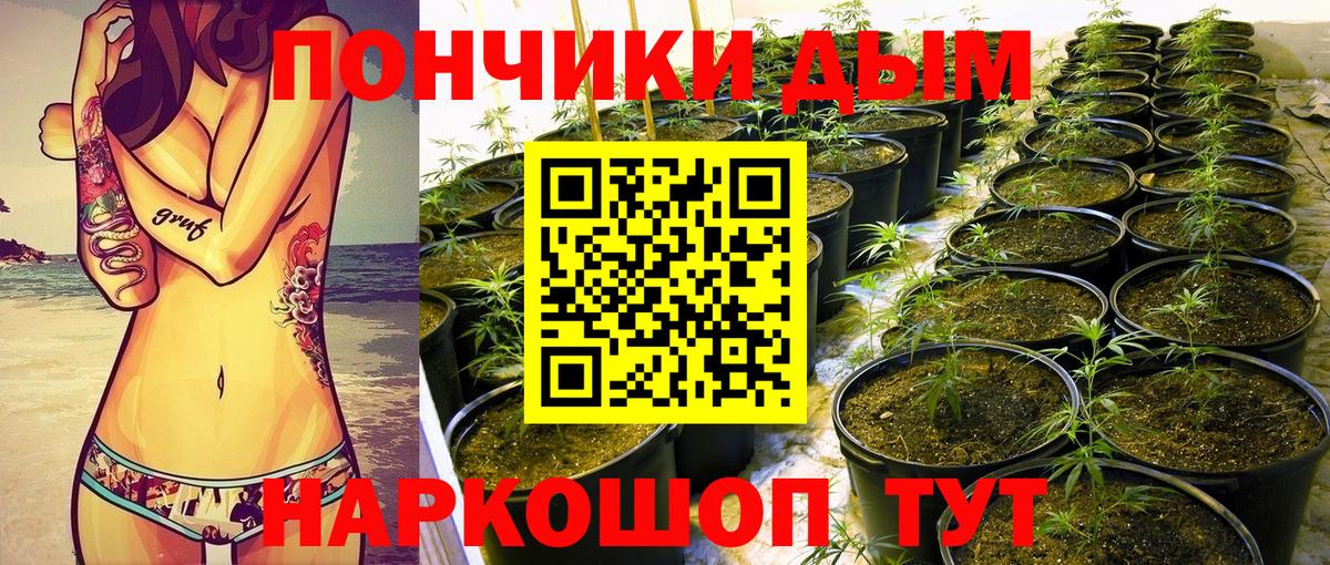 Конопля ГИДРОПОН Сегежа